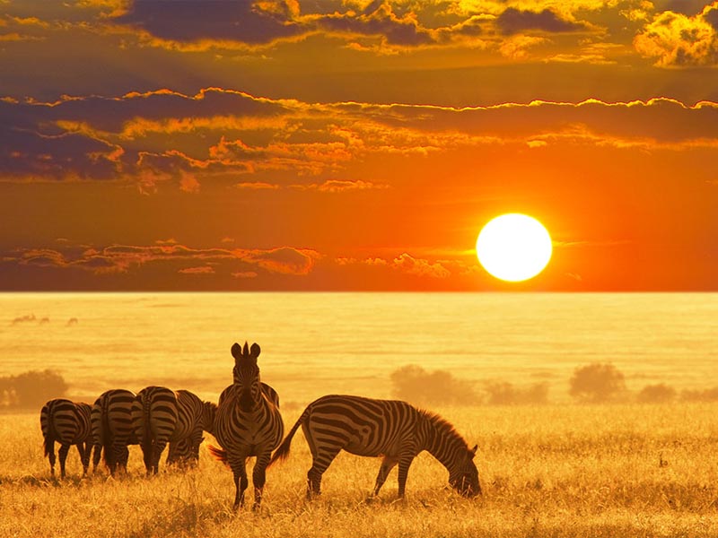 A beleza surreal de um dos maiores países da África não pode ser deixada de lado em seu próximo roteiro de viagem.